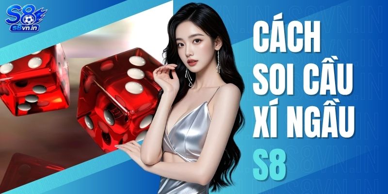 Cách Soi Cầu Xí Ngầu S8