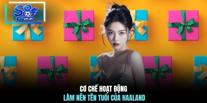 Cơ chế hoạt động của sự kiện vé cược may mắn