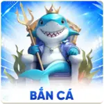 ban ca s8vn in 1